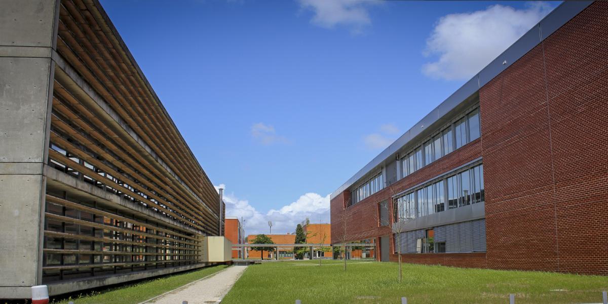 MTD engenharia